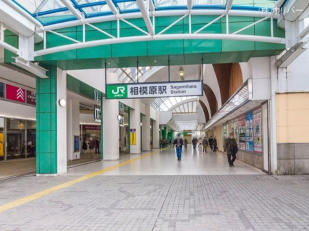 �_�ސ쌧���͌��s�����摊�͌�4���ڂ̓����}���V�����̉摜